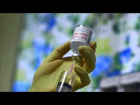 Priče s istoka 138 - Zmijolovac - Subota 17:00