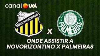 NOVORIZONTINO X PALMEIRAS: ONDE ASSISTIR À TRANSMISSÃO AO VIVO DO JOGO E HORÁRIO PELO PAULISTÃO