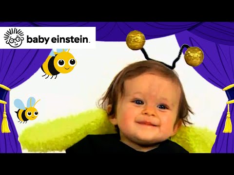 My Favorite Animals! 🐝🐶🐼 | New Baby Einstein Classics | Toddlers Learning Show | Kids Cartoons