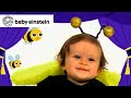 My Favorite Animals New Baby Einstein Classics Toddlers Learning Show Kids Cartoons