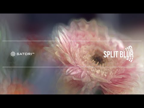Satori Split Blur for After Effect & Premiere Pro