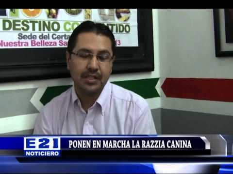 PONEN EN MARCHA LA RAZZIA CANINA