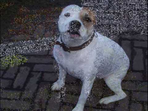 Trijntje Oosterhuis - Nu dat jij er bent (lyrics)