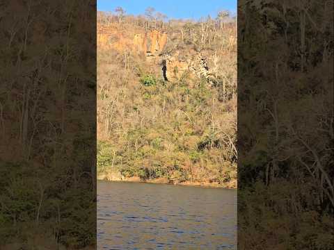 LAGO DE BURITINOPOLIS GOIÁS LINDO DEMAIS #lago #beleza #natureza #music