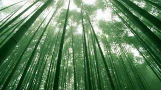 (绿度母心咒) Green Tara Mantra (108 Repetitions) Đa La