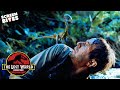 Stark Is Attacked By a Pack of Compsognathus | The Lost World: Jurassic Park (1997) | Screen Bites