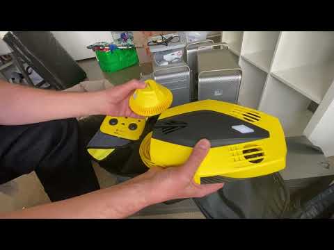 Chasing Dory unboxing video
