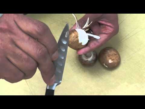 Fluted Mushroom Tutorial: Easy Steps to Perfectly Shaped Mushrooms