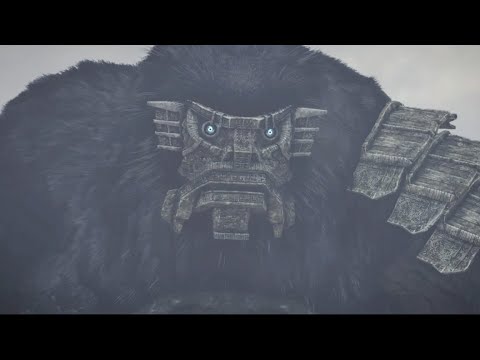 Shadow of The Colossus PS4 - Colossus Argus Boss Fight