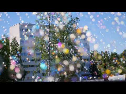 Stoa Goes Wild: Villit kuplat