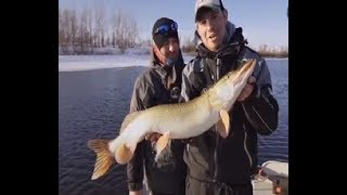 Где клюет в тюменской области