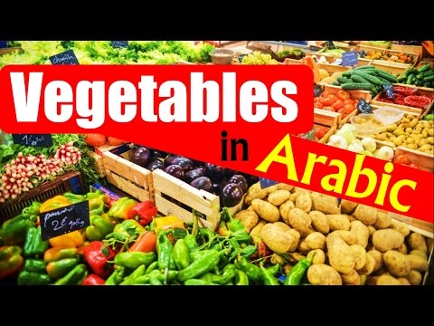 download lagu mp3 mp4 Arabic Squash, download lagu Arabic Squash gratis, unduh video klip Arabic Squash
