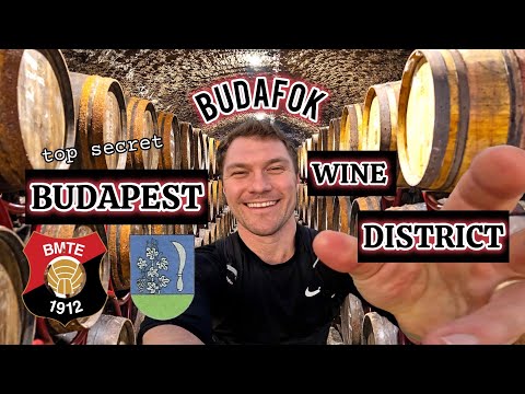 Budapest's Hidden Vineyard District: Budafok XXII
