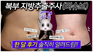 리슈보 Q\u0026A｜무엇이든 물어보슈! 궁금증 전부 답해드립니다🫵