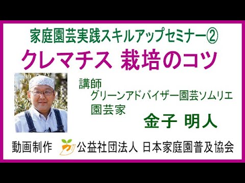クレマチスが元気に育つように剪定します。どのような基準で剪定を行うべきですか?  庭園