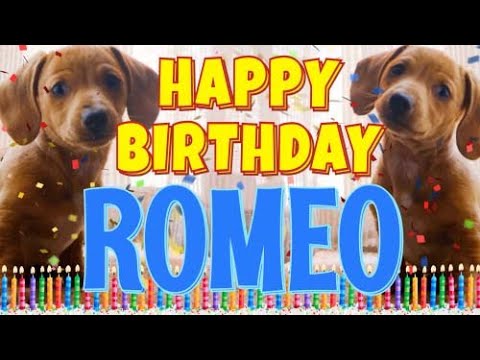 Happy Birthday Romeo! ( Funny Talking Dogs ) What Is Free On My Birthday