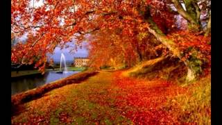 cedric gervais and willy monfret - make me feel