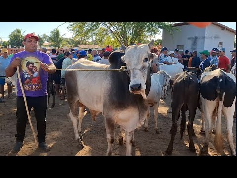 FEIRA DE GADO DE LAGOA DE PEDRAS-RN 01.06.2026