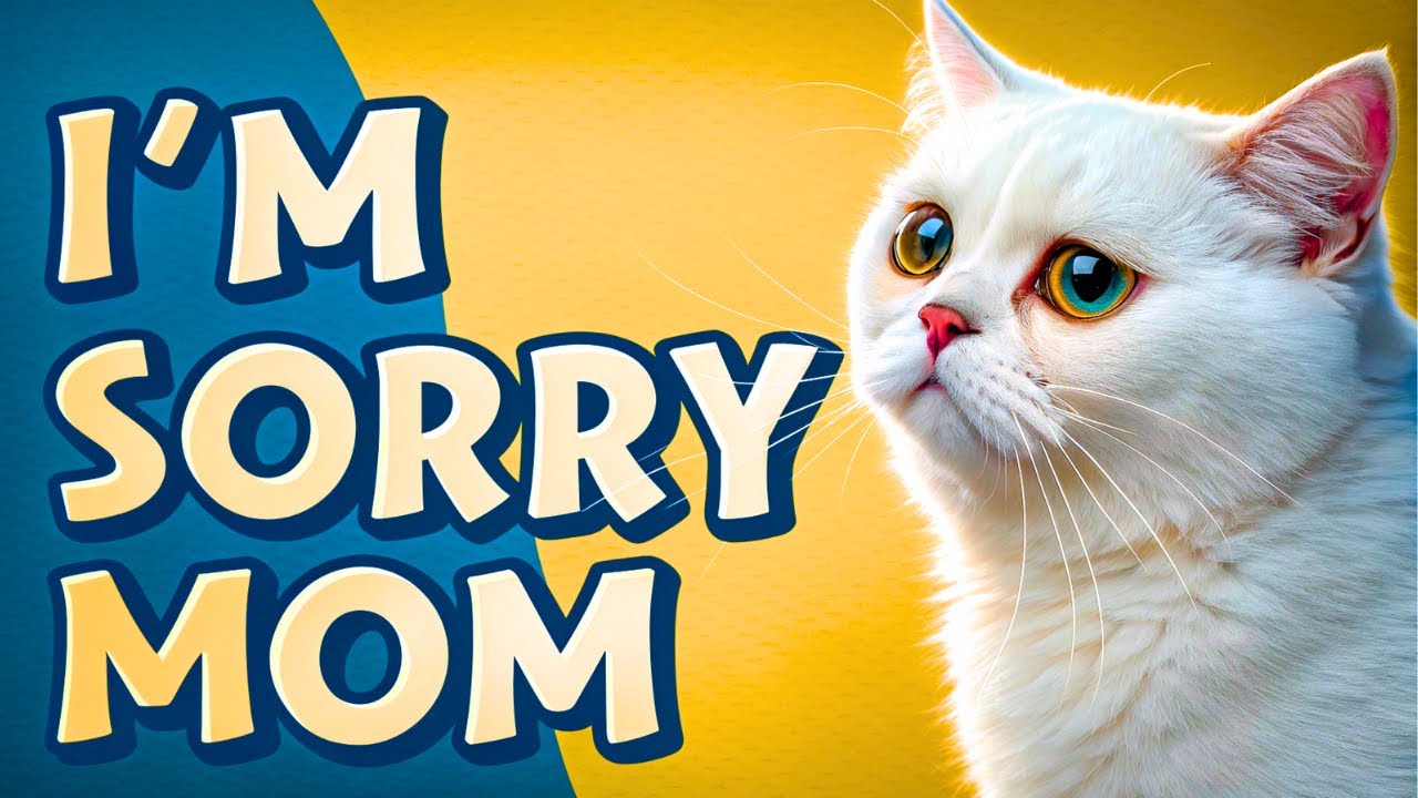 DO CATS APOLOGIZE? Understand What cats do when they KNOW THEY'VE MADE A MISTAKE!