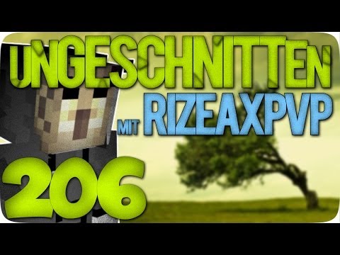NICHT ALLEINE | "Ungeschnitten" Minecraft Survival Games #206 [AnyArtLP | RizeaxPvP | Facecam]
