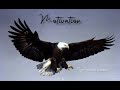 Tamil Motivation Video முயற்சி செய் Motivational WhatsApp Status Motivation St