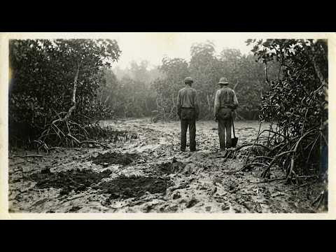 (1908, Amapá) A Fazenda dos Capiberibe Nunca Recebia Visitantes Após o Anoitecer