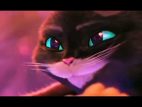 gato con botas el ultimo deseo gato y kitty patitas suaves