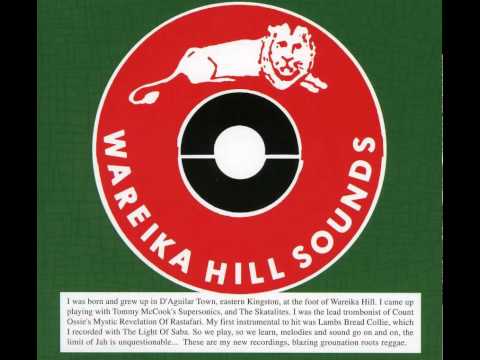 Wareika Hill Sounds - Coconut head special