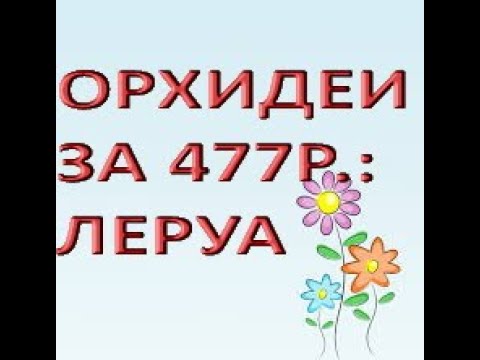 ЛЕРУА:завоз ОРХИДЕЙ за 477р.!30.06.22,ТЦ "Космопорт",Самара,ул. Дыбенко,30.