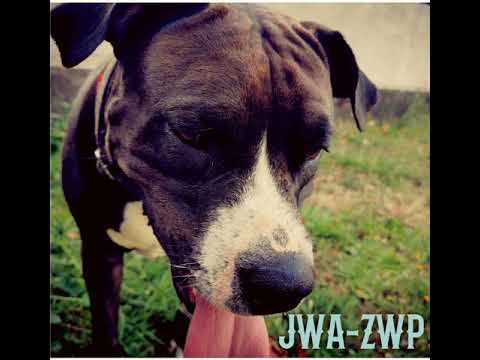 JacewkaZwP - Nie śpij (prod. Kieru)