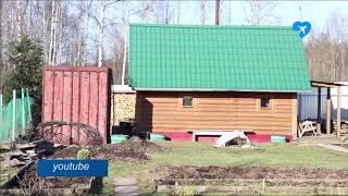 На заметку дачником (18.06.2019)