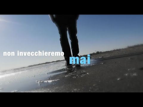 THE VINYLE - NON INVECCHIEREMO MAI
