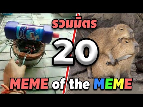 รวมมิตร ภาพนี้ก็ฮาเหมือนกันนะเนี้ย #20 [ พากย์นรก MEME.EXE ] | easy boy