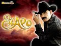 El Chapo De Sinaloa MIX von Antonio Ü v El Chapo De Sinaloa MIX von Antonio Ü v