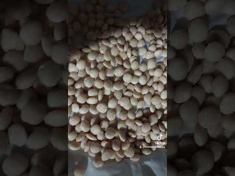 Sacha inchi la copa de quipile cundinamarca