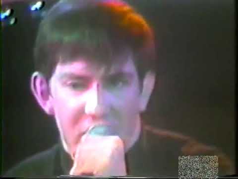 Best of New Wave Theater Volume 1