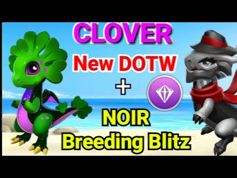 CLOVER Dragon | New DOTW | NOIR Dragon | Breeding Blitz Event | Dragon Mania legends Dml