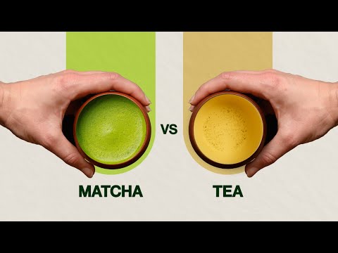 Matcha vs Sencha - A Battle is Brewing