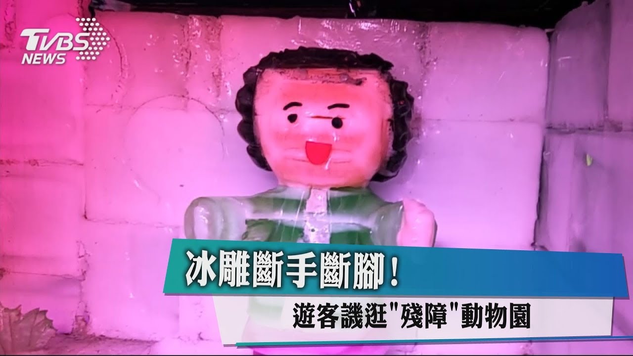 冰雕斷手斷腳! 遊客譏逛「殘障」動物園