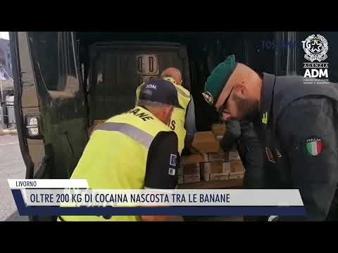 2022-10-14 LIVORNO - OLTRE 200 KG DI COCAINA NASCOSTA TRA LE BANANE