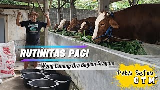 Download lagu Morning Routine in the Cage with the CTM² System We Implement‼️ mp3