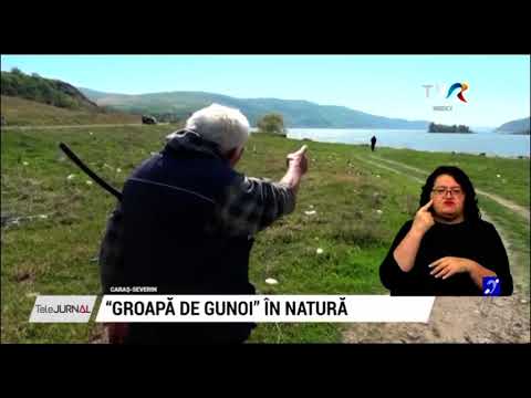 Baziaș, intrarea Dunării în țară: Aici ajunge gunoiul Europei cărat de ape #StiriRegionale  @TVRTM