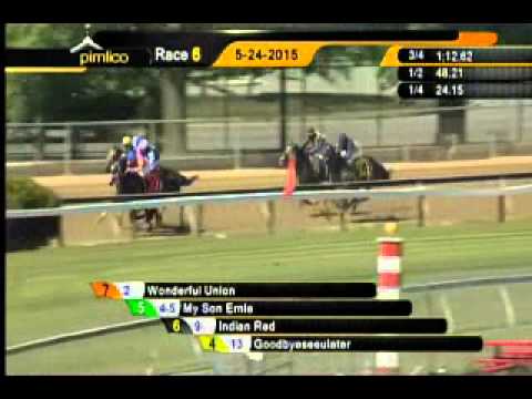 Pimlico 05/24/15 Race 6