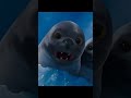Happy Feet Movie Death Scene Funny Shorts Animals Death Penguin Sealions