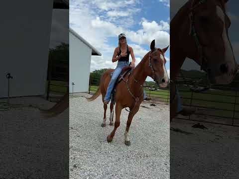 Do you think he’s accepted