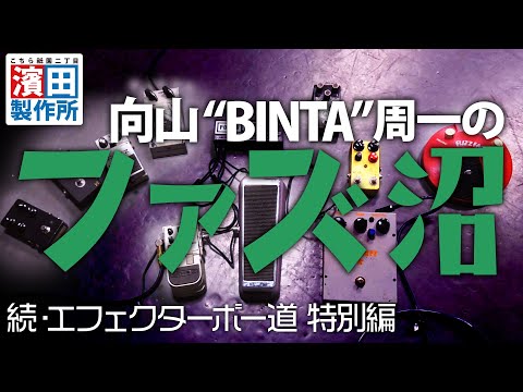 マントファズマトデアについて詳しく解説