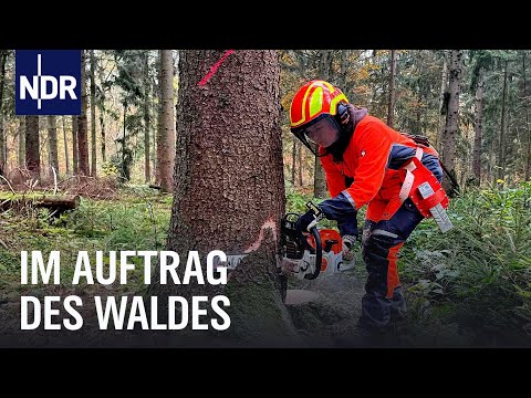 Die neue Försterin im Stadtwald Lübeck | Die Nordreportage | NDR Doku