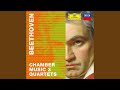 Beethoven: String Quartet No. 11 in F Minor, Op. 95 "Serioso" - III. Allegro assai vivace ma...
