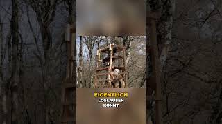 Baupläne für dein Holzprojekt: Einfach, genial &amp; ohne Verschnitt! #shorts