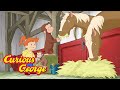 Curious George 🐵 George and Allie's Farm Adventure 🐵 Kids Cartoon 🐵 Kids Movies